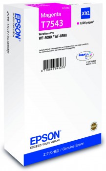 Epson T7543 cartridge purpurová-magenta (7.000 str)