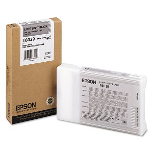 Epson T6029 cartridge light light black (110ml)