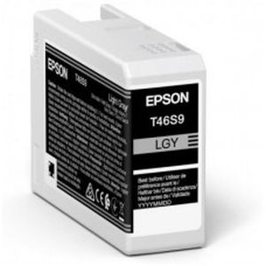 Epson T46S9 cartridge light grey (25ml)
